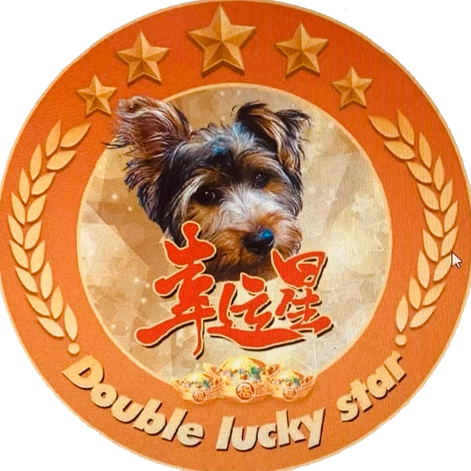 Double Lucky Star Hong Kong BBQ logo, featuring roasted meats and traditional Chinese design. 幸运星港式烧腊店标志，包含传统烧腊与中式元素。
